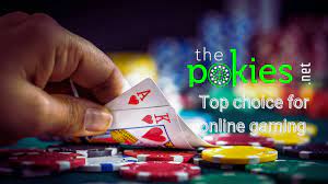 Everything You Required to Understand About Playing on ThePokies 111