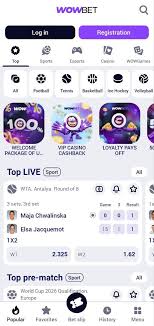 wowbet ставки Как начать выигрывать уже сегодня